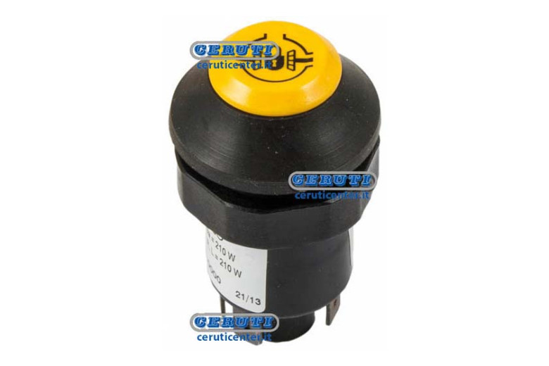 Pneutron Type Switches