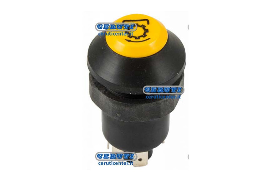 Pneutron Type Switches
