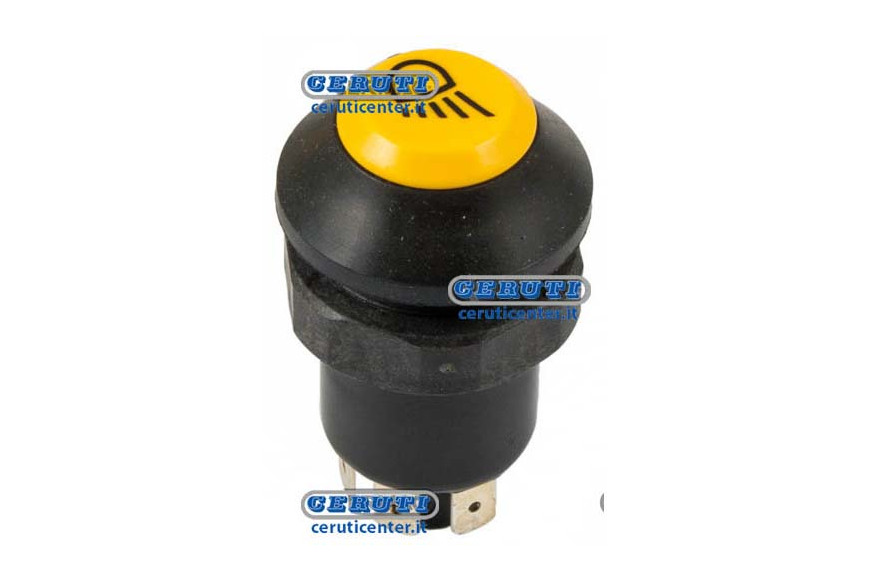Pneutron Type Switches