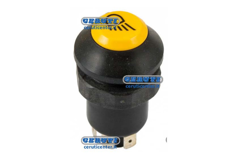 Pneutron Type Switches