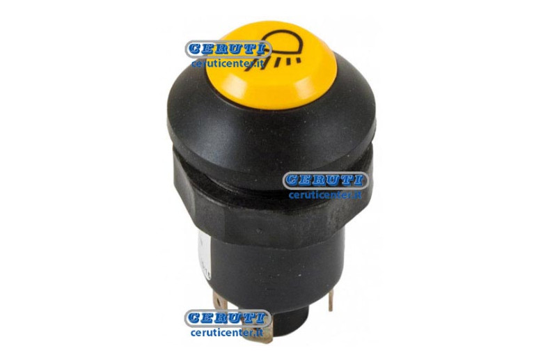 Pneutron Type Switches