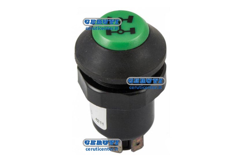 Pneutron Type Switches