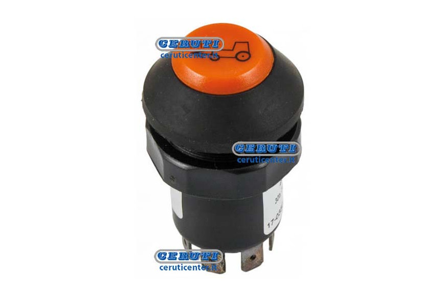 Pneutron Type Switches