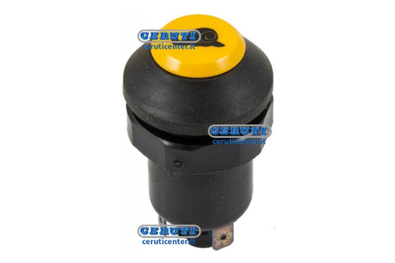 Pneutron Type Switches