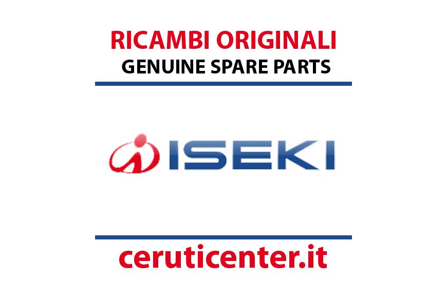 Side Panel - Originale Iseki - 1746-604-210-10