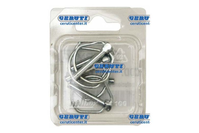 Sachet 5 Goupilles Clip Type Standard (Made In Italy) Ø D 11 Mm