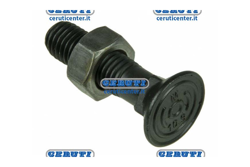 Tornillos Cabeza Redonda Cónica Para Rejas Dimensiones 12X50 Mm