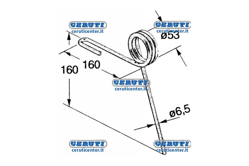 55881