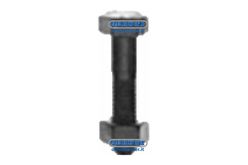 12X80 Bolt