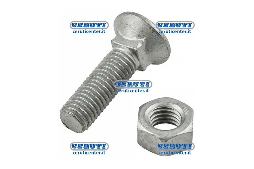 Tornillos Arado Con Cuadro - Clase 8.8 - 10.9 Rosca M10 L 35 Mm