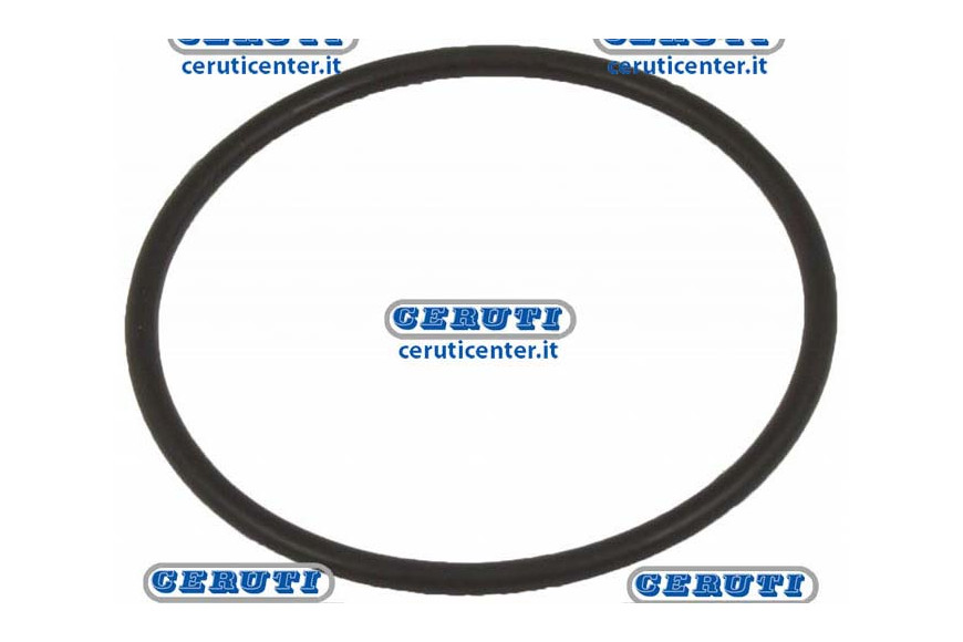 O-Ring