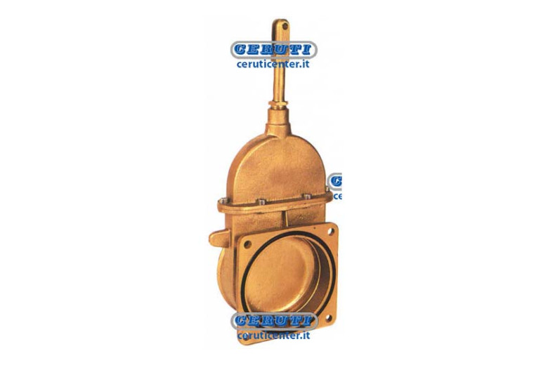 Stemgate Valve With Flange