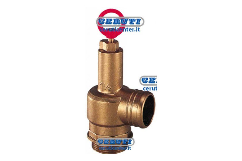 Valvola Sicurezza Con Portagomma 1"1/2