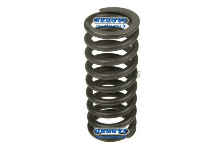 Frizione Di Sterzo Fiat, New Holland - Molla Frizione Di Sterzo - Adattabile 547406, 588684, 567866, 5105119
