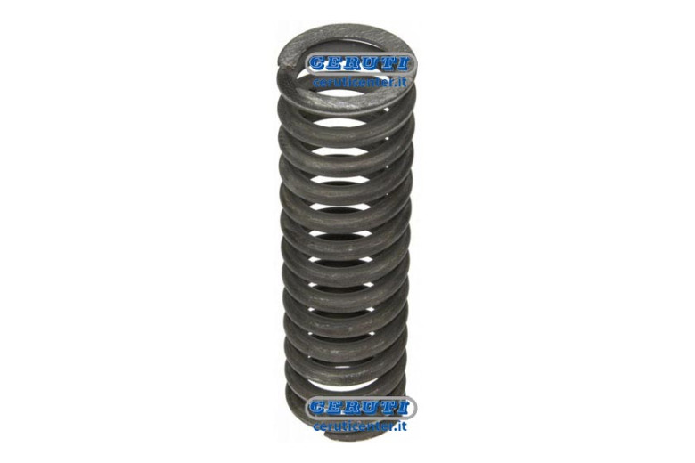 Frizione Di Sterzo Fiat, New Holland - Molla - Adattabile 4954529