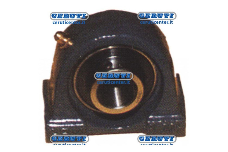 Supporto Cuscinetto Autoallineante Serie Ucpa Diametro 35 Mm - Adattabile UCPA207