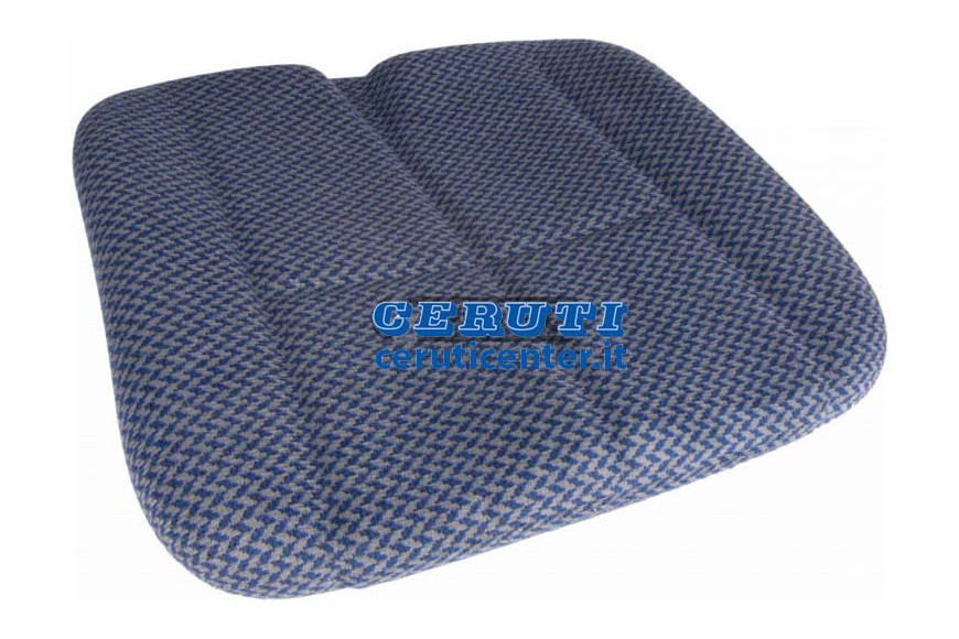 Cushion