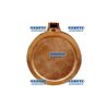 Circular Wedge-Plate