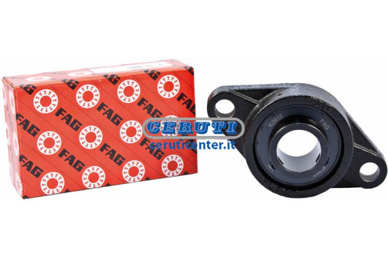 Selfaligning Ball Bearing 2 Bolt Flange Unit - Fag Series Ucfl Ø 60 Mm