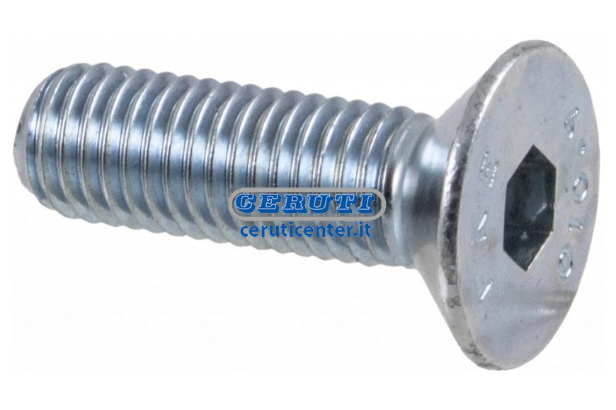 Vite A Testa Svasata Con Cava Esagonale Zincato Bianco Filetto M6X1 L 25 Mm