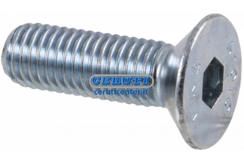 Vite A Testa Svasata Con Cava Esagonale Zincato Bianco Filetto M6X1 L 30 Mm