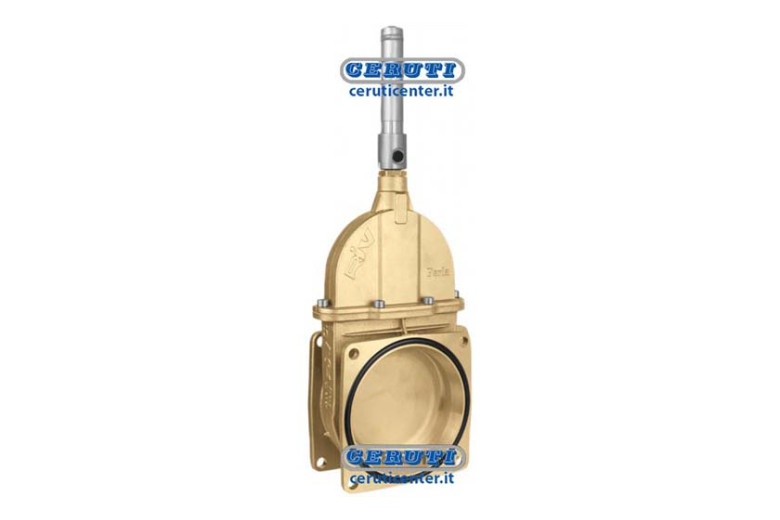 Vanne A Piston Avec Double Bride Et Cylindre Double Effet Hydraulique - Riv14