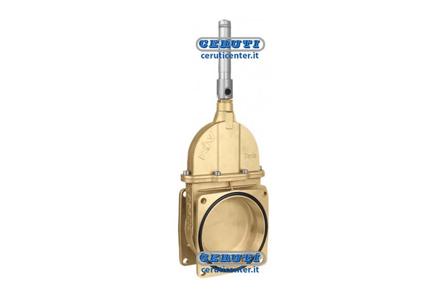 Vanne A Piston Avec Double Bride Et Cylindre Double Effet Hydraulique - Riv14