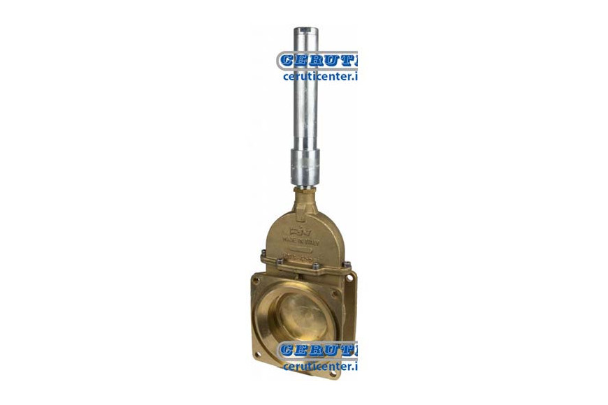 Stem Gate Valve With Two Flanges And Hydraulic Double-Effect Cylinder - Riv14