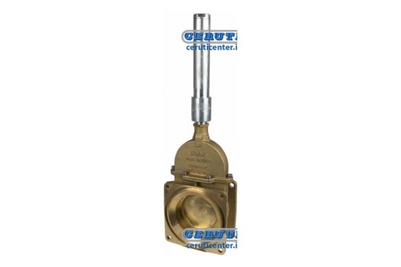 Vanne A Piston Avec Double Bride Et Cylindre Double Effet Hydraulique - Riv14