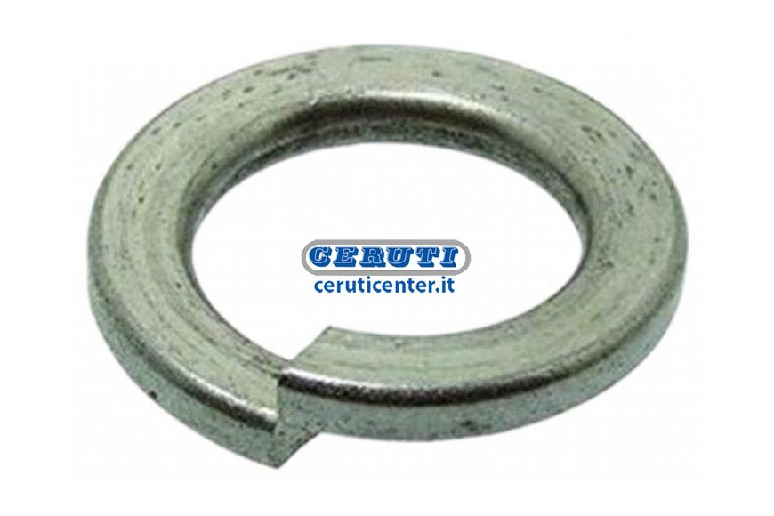 Spring-Loaded Spiral Washers (Grower) D M22