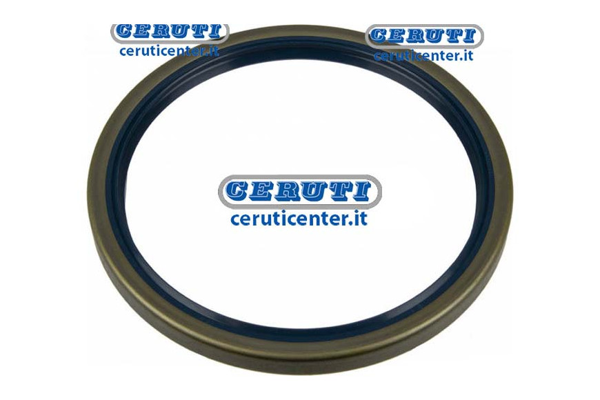 Anello Paraolio Dimensioni 145X170X13 Mm Tipo B1Sl - Adattabile 395527X1, 2.1529.038.0, 12011373B
