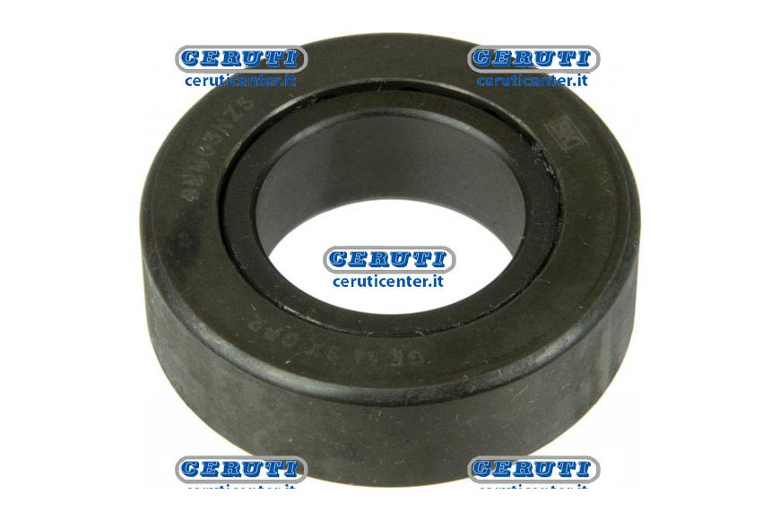 The steering For CNH Bearing