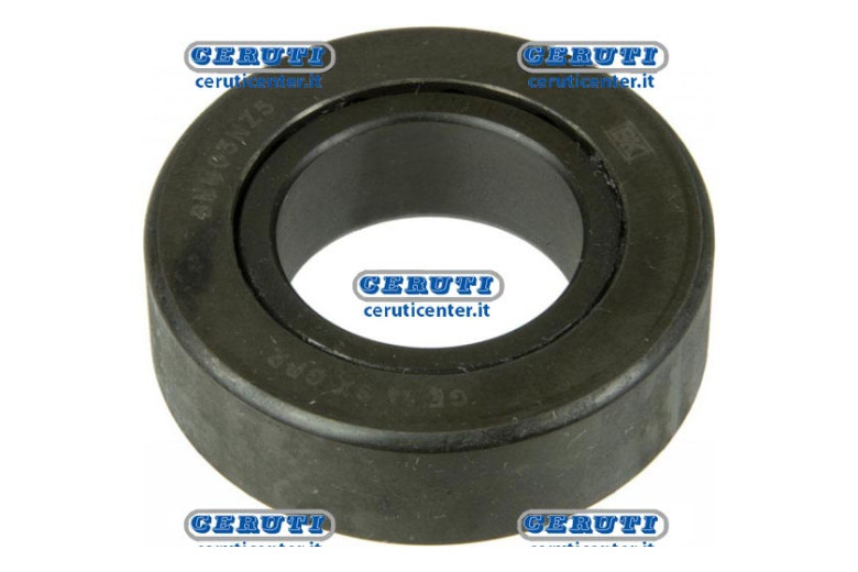 The steering For CNH Bearing