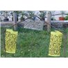 Kit Trap Bedbugs: Pheromone + 2 panels stickers - Catch Bugs for 12 Weeks