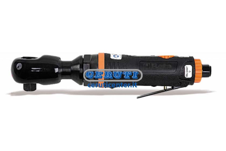 Reversible Ratchet