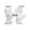 Calfskin Leather Gloves