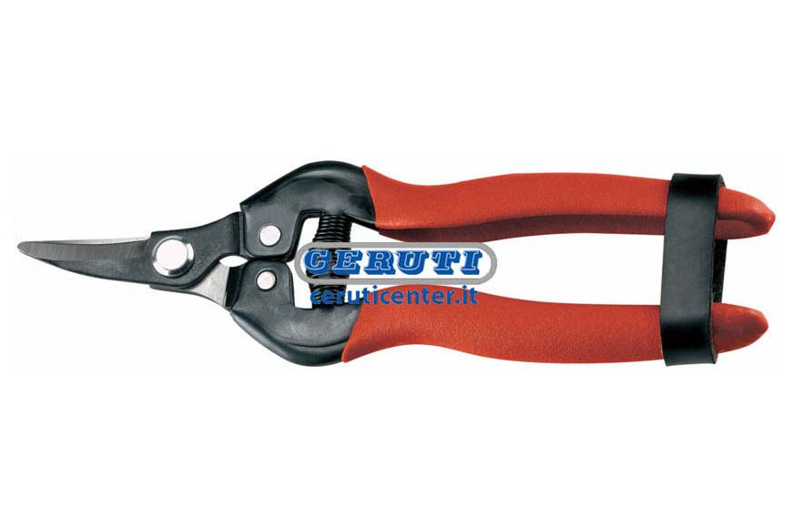 Shears For Citrus Fruit Crops
