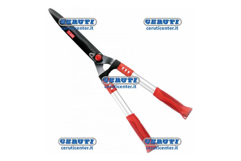 Hedge Shears