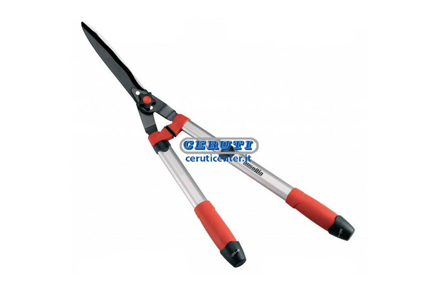 Hedge Shears