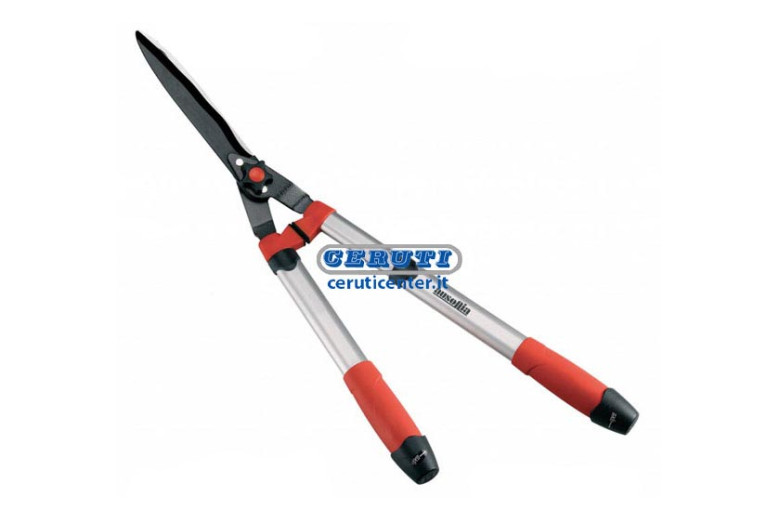 Hedge Shears