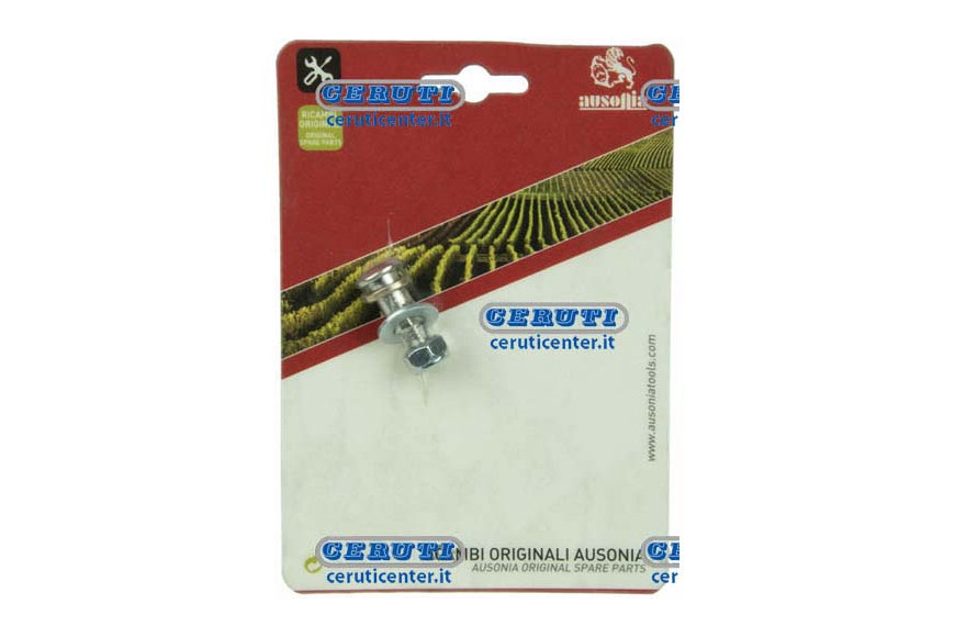 Bolt Ric. Pour Art.78087
