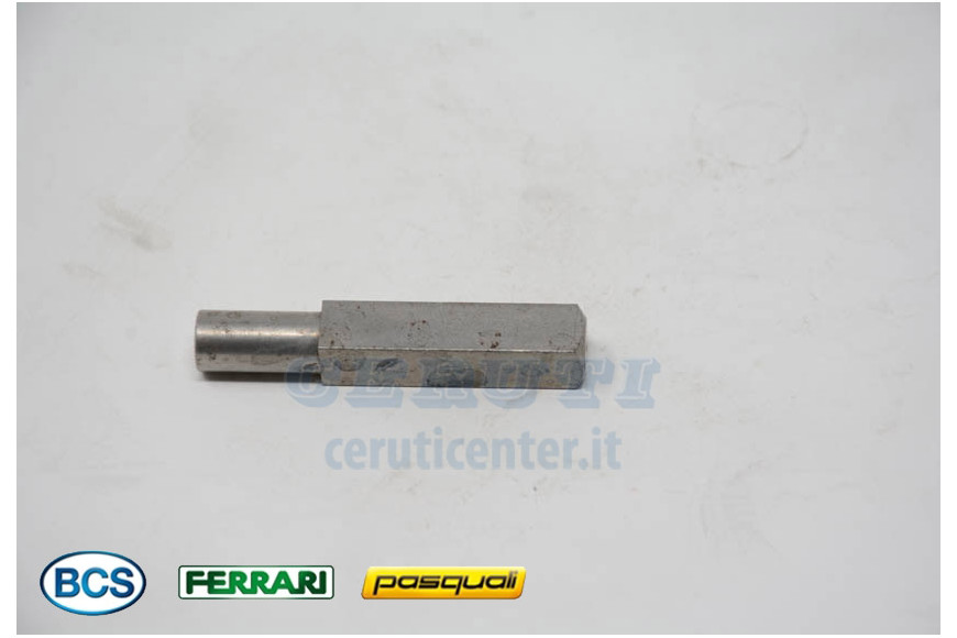 Patin - BCS Original - 56447524