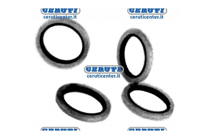 Joint "Bonded" Avec Bague Interieure En Caoutchouc Filet 3/4" Gas