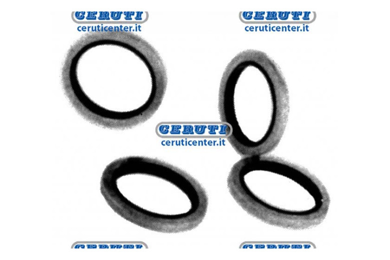 Bonded-Dichtungen Mit Nylon-Ringe Gewinde M14