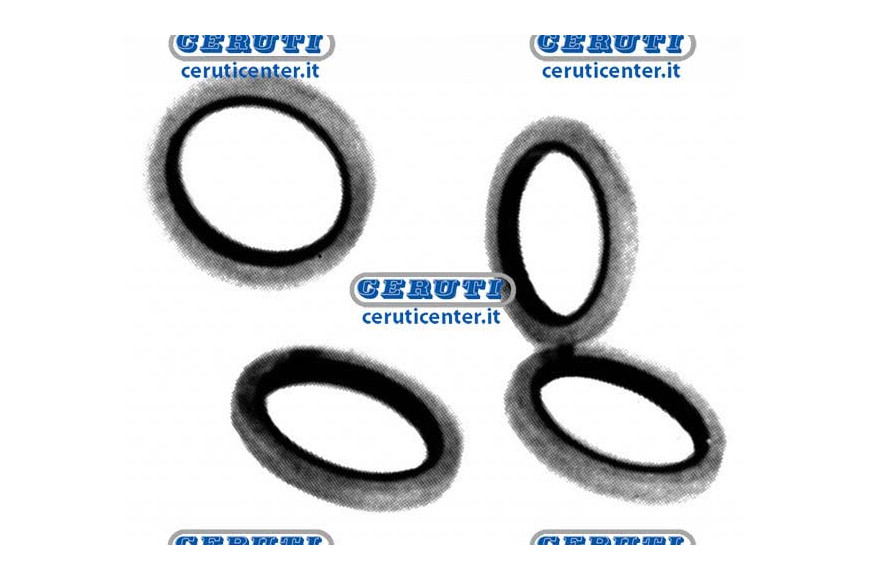 Bonded Gasket With Rubber Ring Inside Thread M24