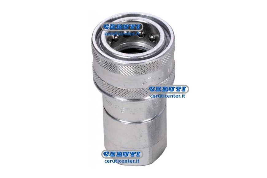 Quick Female Coupling Ball Type Series Ns Coupling 3/4" Gas