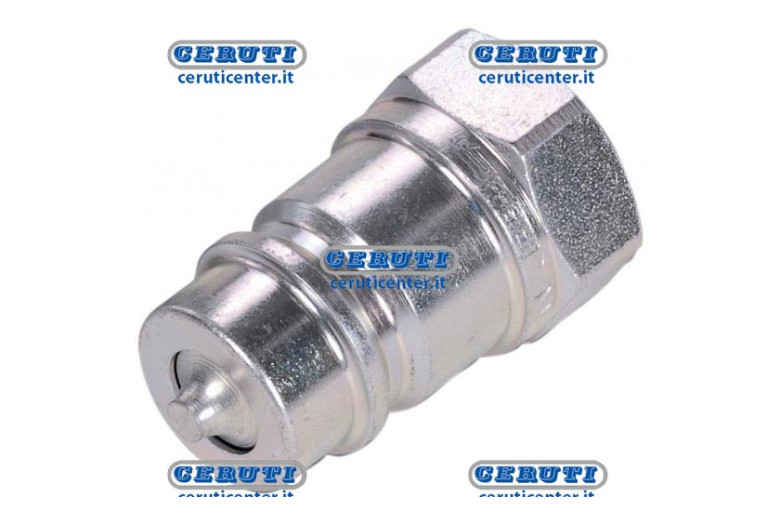 Schnellkupplung Männlich Mit Pilzventil Serie Nv Anschluss 3/4" Gas