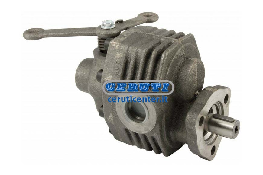 Hydraulic Pump Standard Serie With Distributor - 180 Bar Maximum Pressure 180 Bar