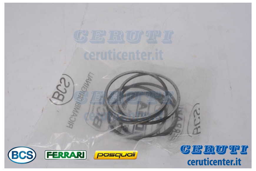 Muelle - BCS Original - 58043874