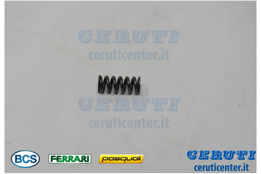 Spring Dm.6,2X15 - BCS genuine - 58047579